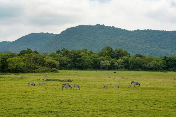 Arusha National Park