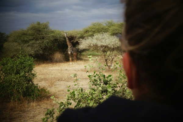 Lake Manyara National Park