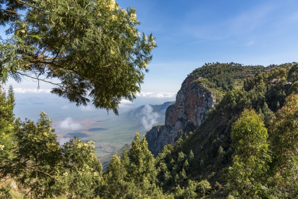 Usambara Mountains