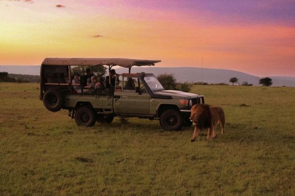 Safari Packages